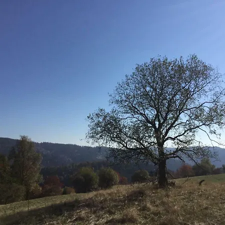 Penzion Landferienhaus Linde Langenbach (Thuringia)